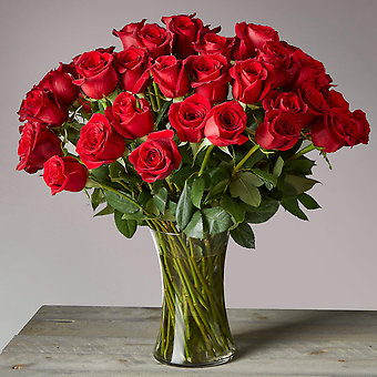 50 Long Stem Red Roses