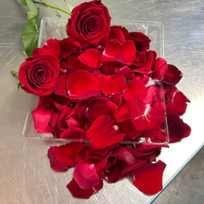Fresh Rose Petals