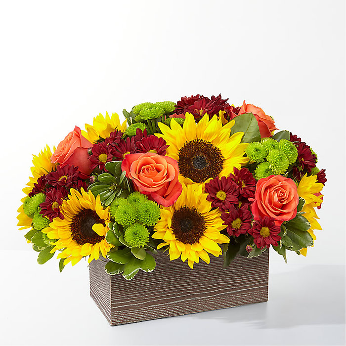 Happy Harvest Garden