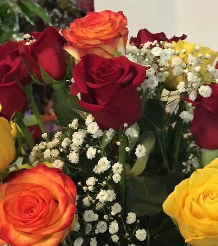 Mixed Roses, 2 Dozen