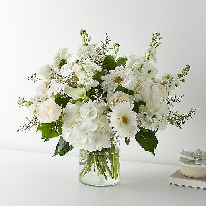 Sun-drenched Blooms