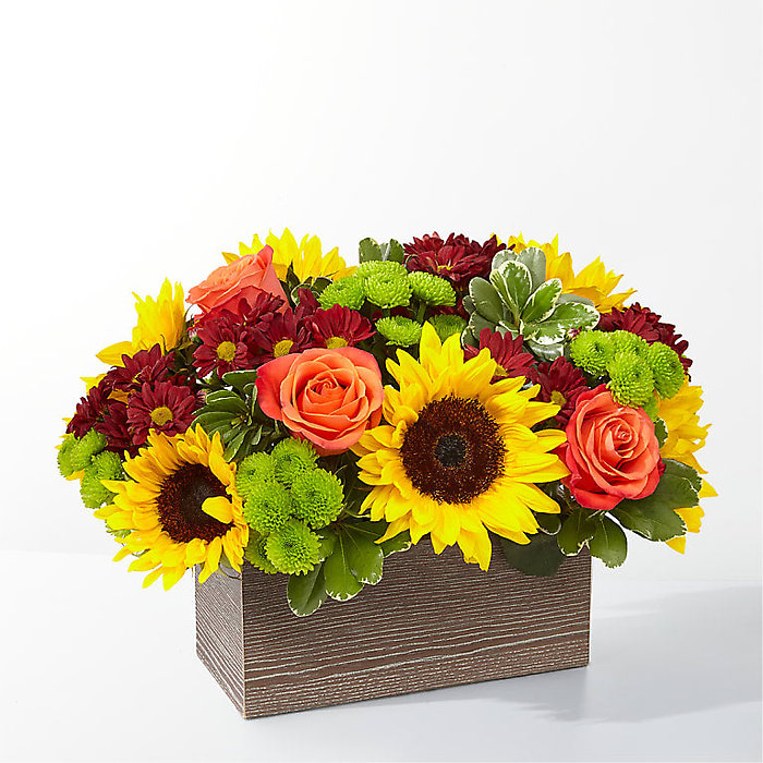 Happy Harvest Garden